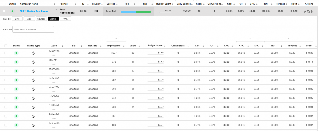 CPA, CTR, CR, ROI, Revenue, Profit at Traffic Nomads campaign